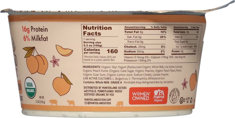 slide 2 of 5, Painterland Sisters Organic 6% Milkfat Icelandic Style Savannah's Peach Skyr Yogurt 5.3 oz, 5.3 oz