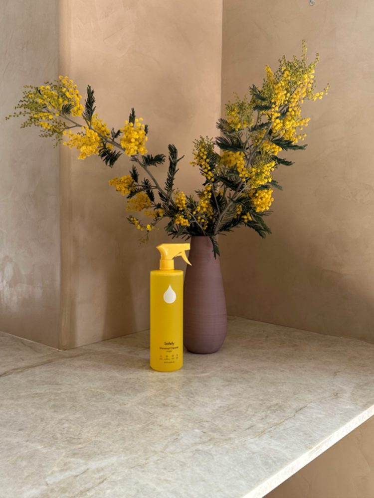 slide 4 of 4, Safely Bright Universal Cleaner, 20 fl oz