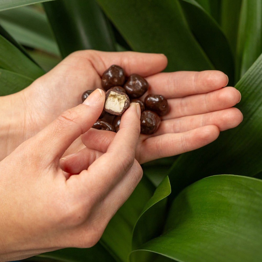 slide 6 of 6, Tru Fru Freeze-Dried Dark Chocolate Bananas 3.4 oz, 3.4 oz