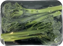 Baby Broccoli Tray
