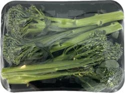 Baby Broccoli Tray