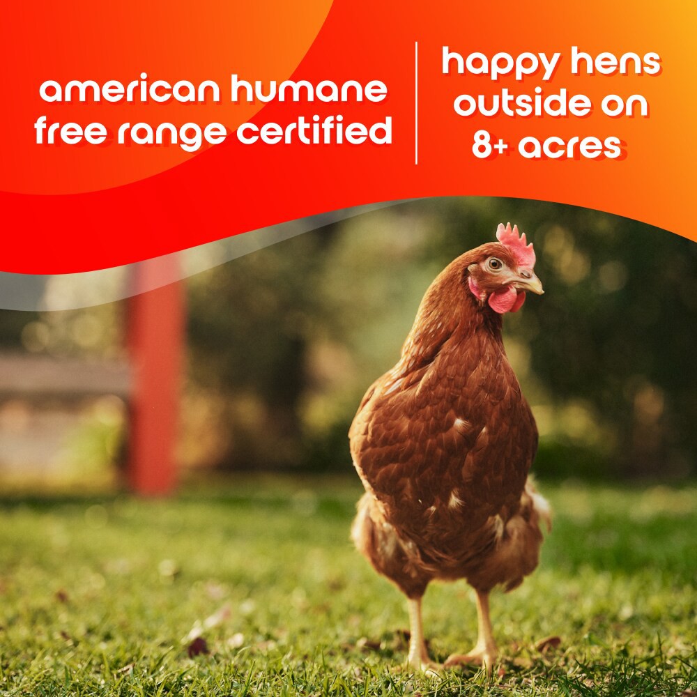 slide 3 of 5, Happy Egg Co. Eggs, Free Range, Large, 12 ct