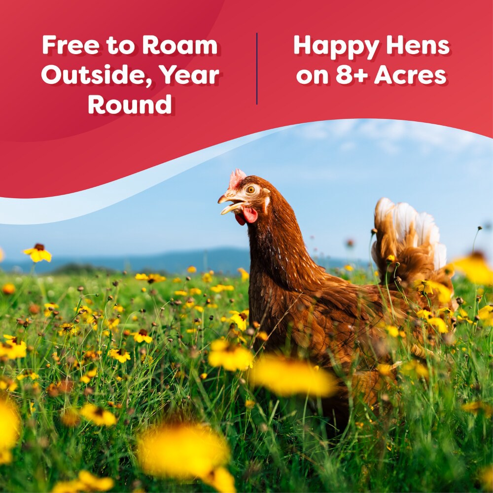 slide 2 of 5, Happy Egg Co. Eggs, Free Range, Large, 12 ct