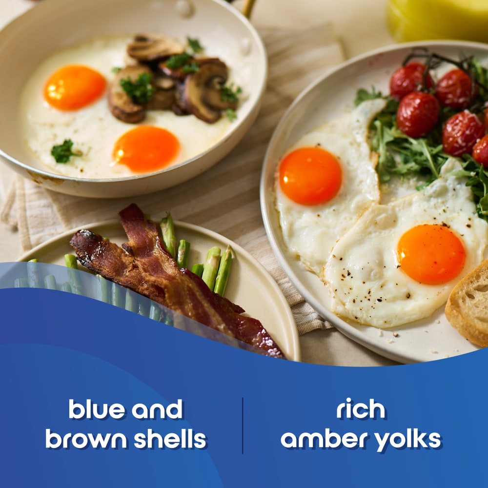 slide 4 of 6, Happy Egg Co. Eggs, Heritage, Blue & Brown, Large, 12 ct