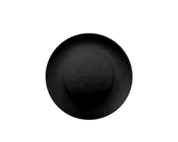 Everyday Living Essential Dinner Plate - Black