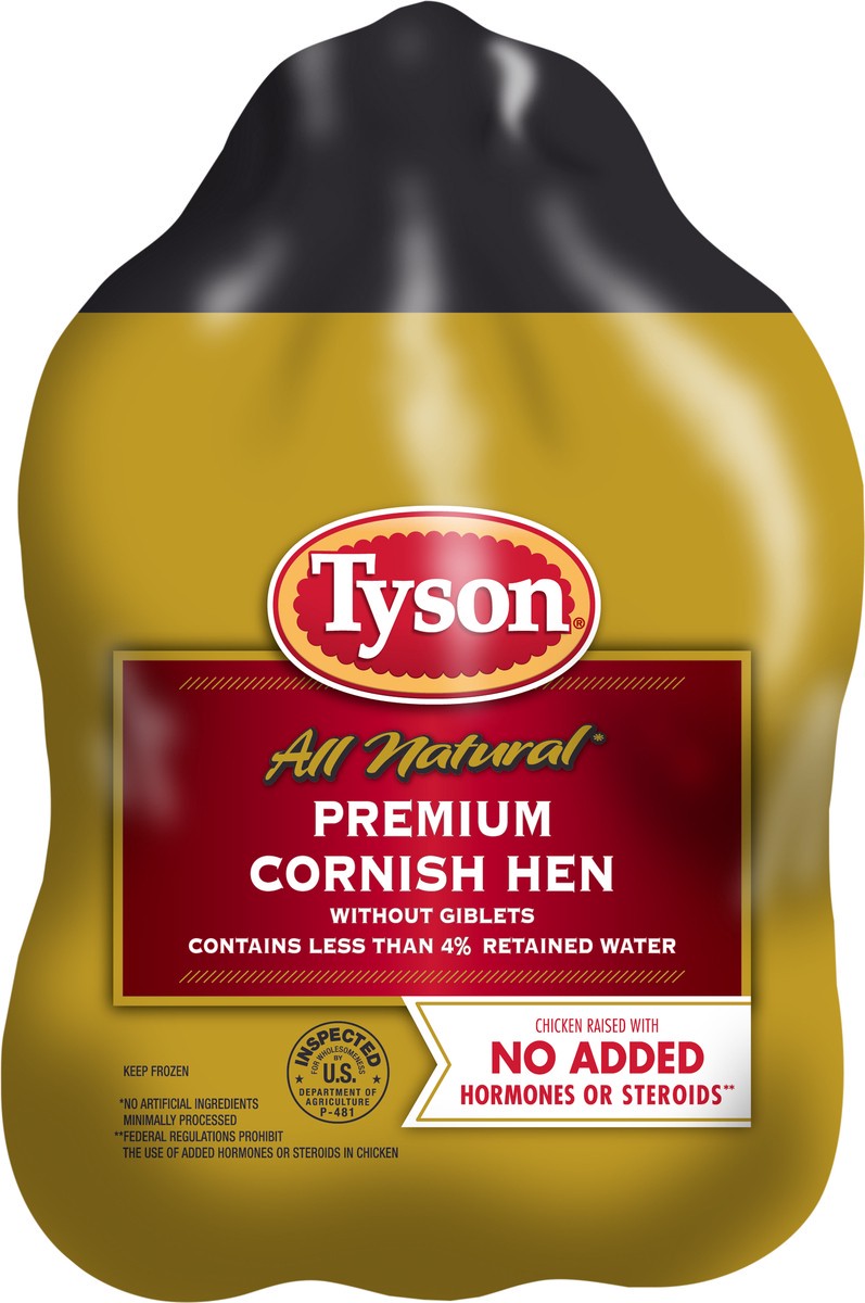 slide 2 of 3, Tyson All Natural Premium Cornish Hen , 22 oz