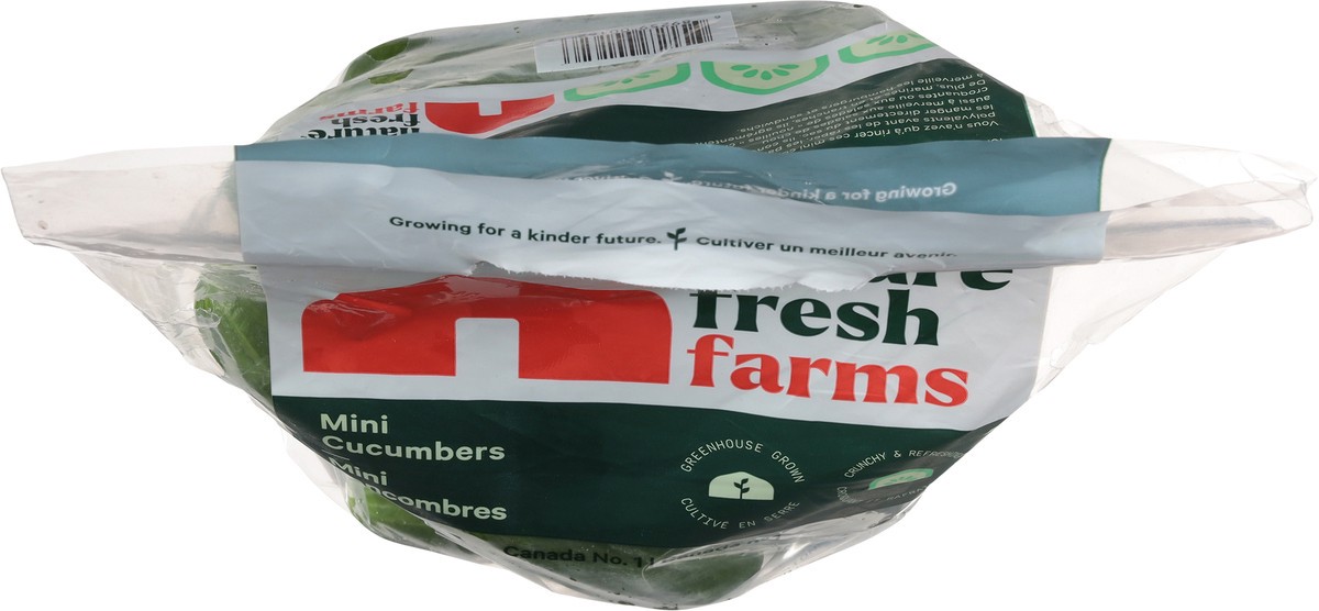 slide 3 of 13, Nature Fresh Farms Mini Cucumbers 2 lb, 2 lb