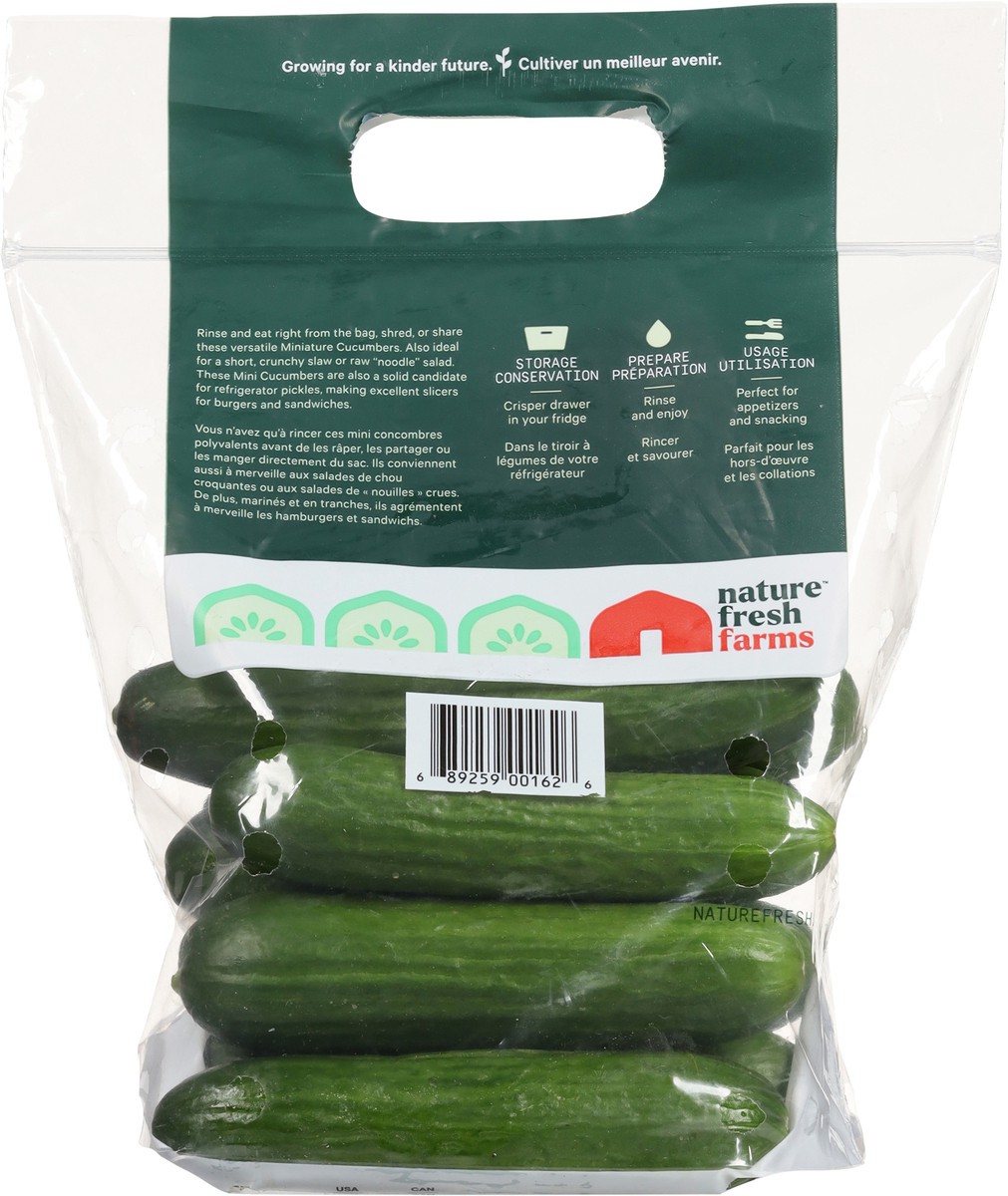 slide 4 of 13, Nature Fresh Farms Mini Cucumbers 2 lb, 2 lb