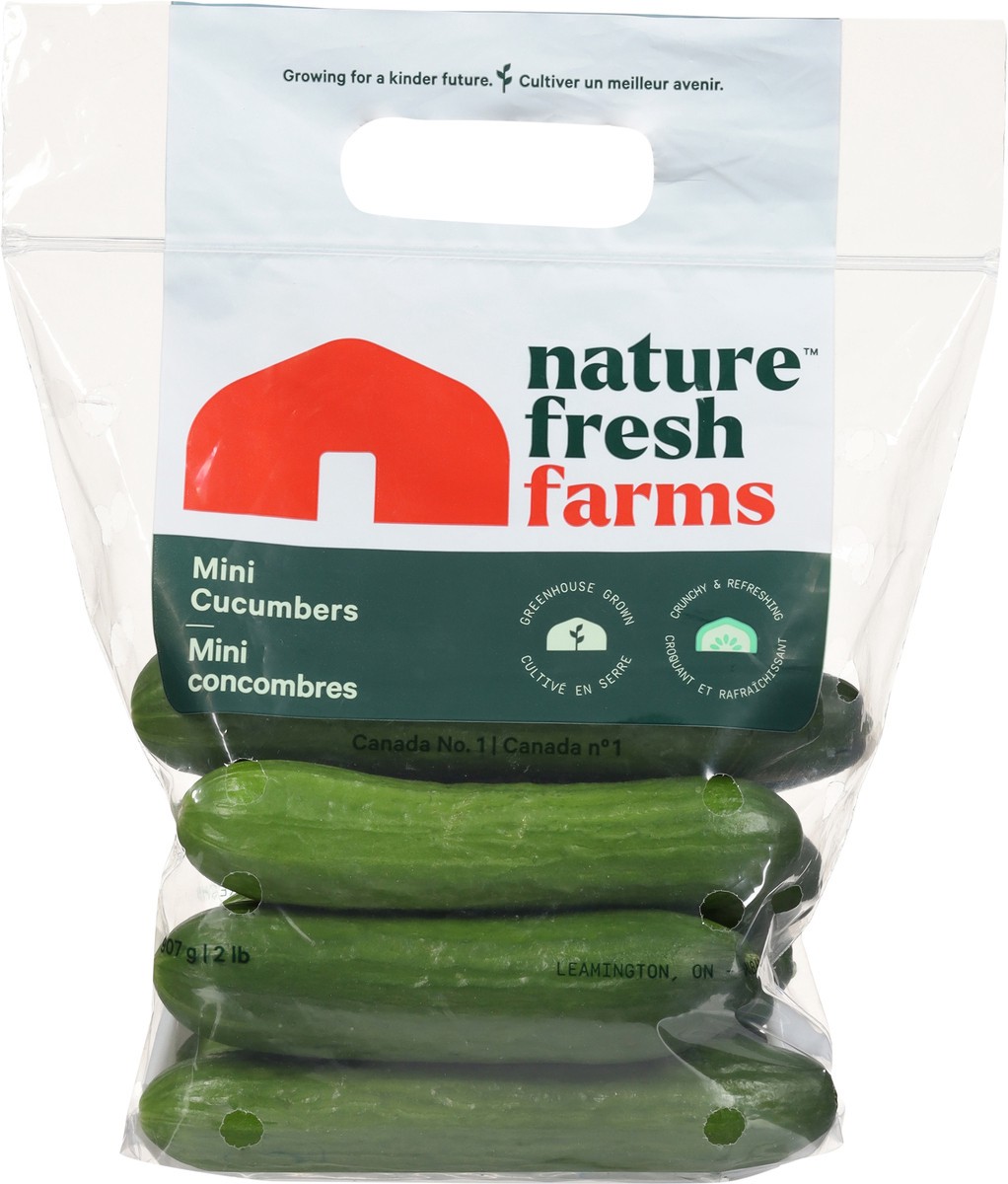 slide 11 of 13, Nature Fresh Farms Mini Cucumbers 2 lb, 2 lb