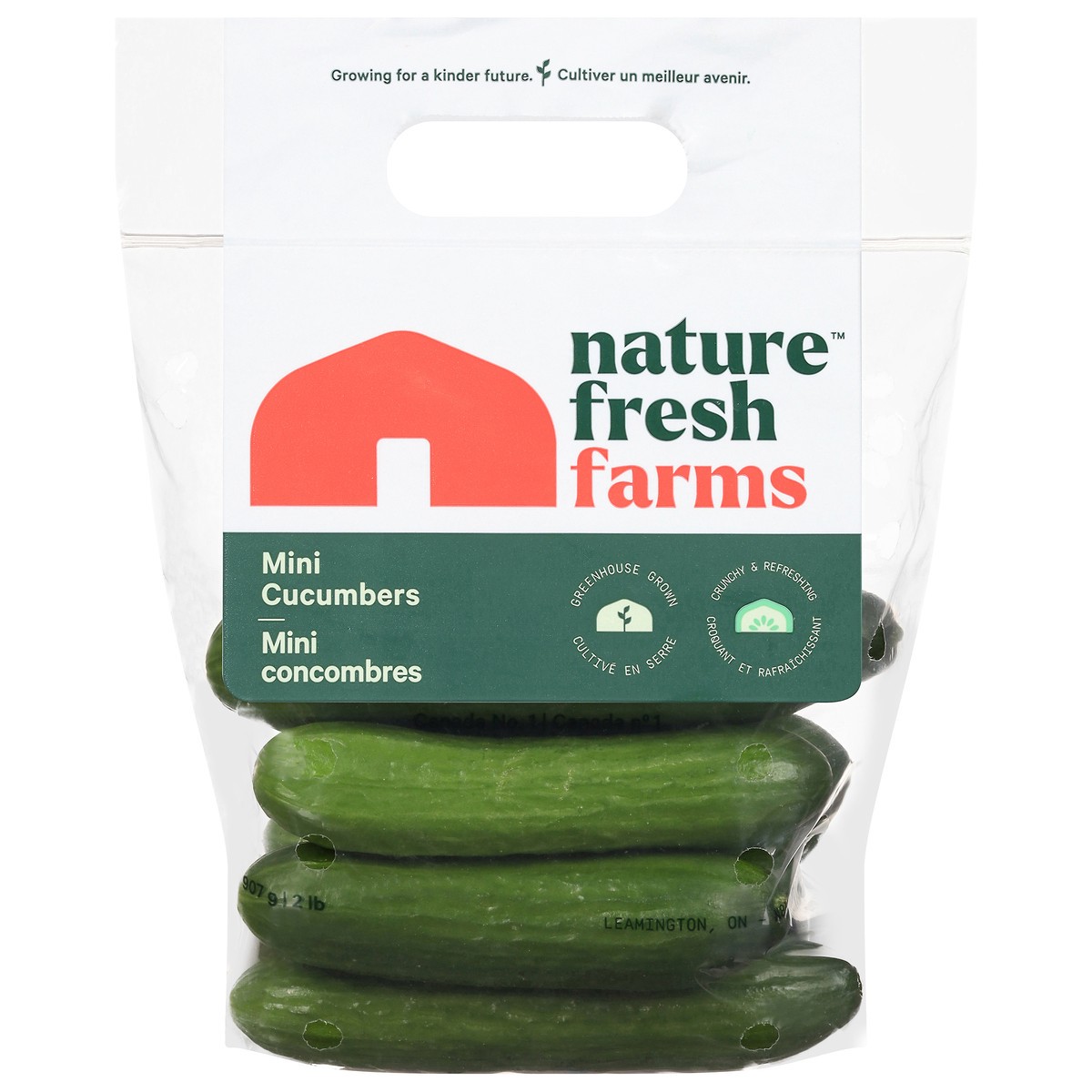 slide 1 of 13, Nature Fresh Farms Mini Cucumbers 2 lb, 2 lb