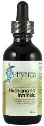 Physica Energetics Hydrangea Intrinsic