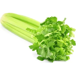 Bunch Celery, Small