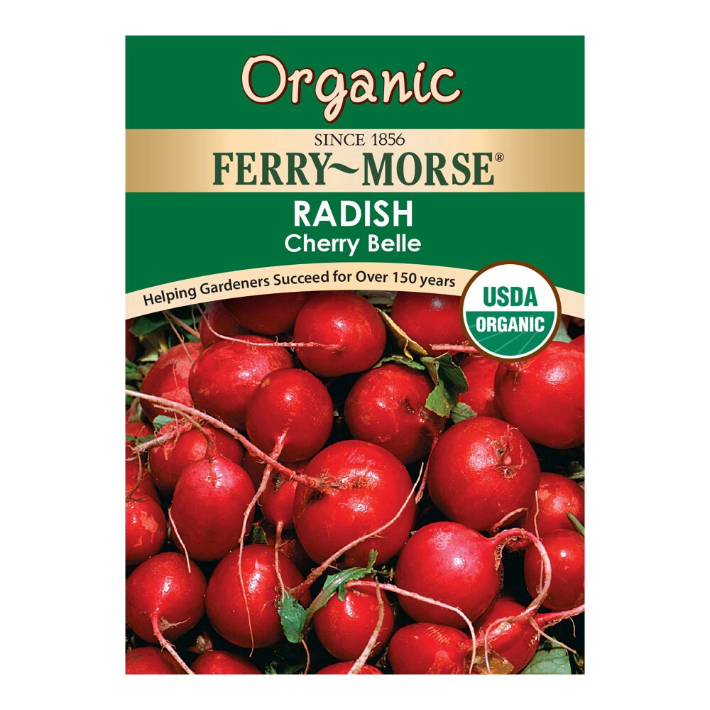 slide 1 of 1, Radish - Cherry Belle Org Anic, 1 ct