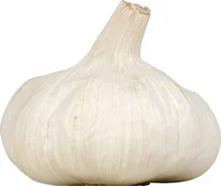 Garlic Colossal White