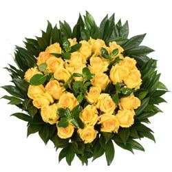 Bloom Haus 30 Plus Rose Bouquet - Yellow