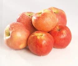 Lady Alice Apples