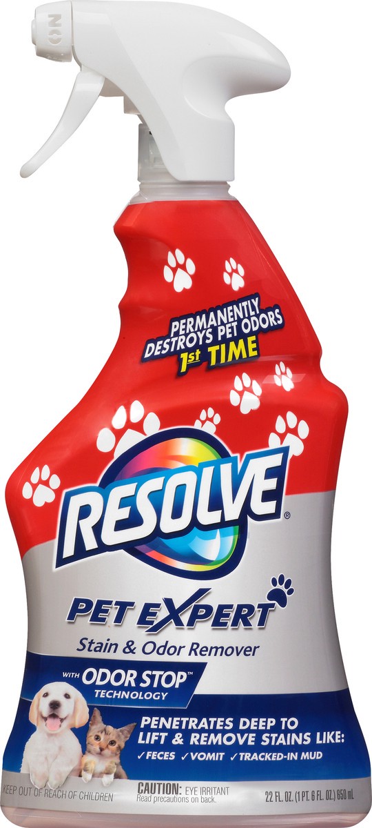 slide 5 of 9, Resolve Pet Expert Stain & Odor Remover 22 oz, 22 oz