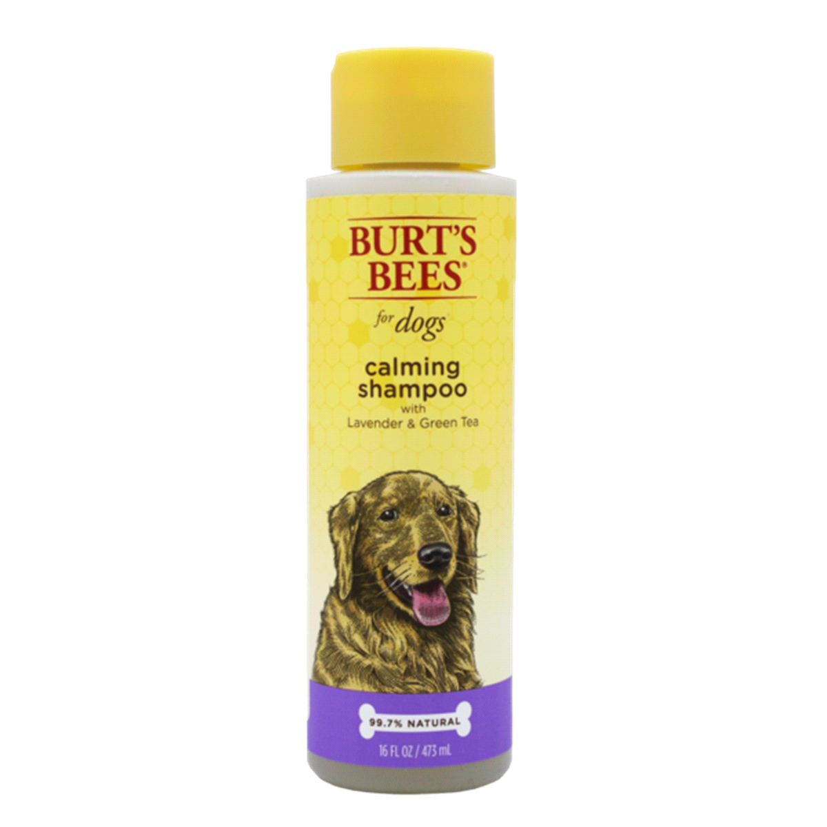 slide 1 of 9, Burt's Bees Calming Pet Shampoo, 16 oz