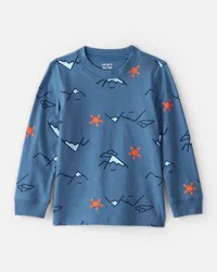 Carter's Carters Toddler Boy Mountain Long-Sleeve Graphic Tee - Blue Blue 3T