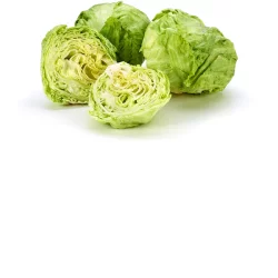 Iceberg Lettuce