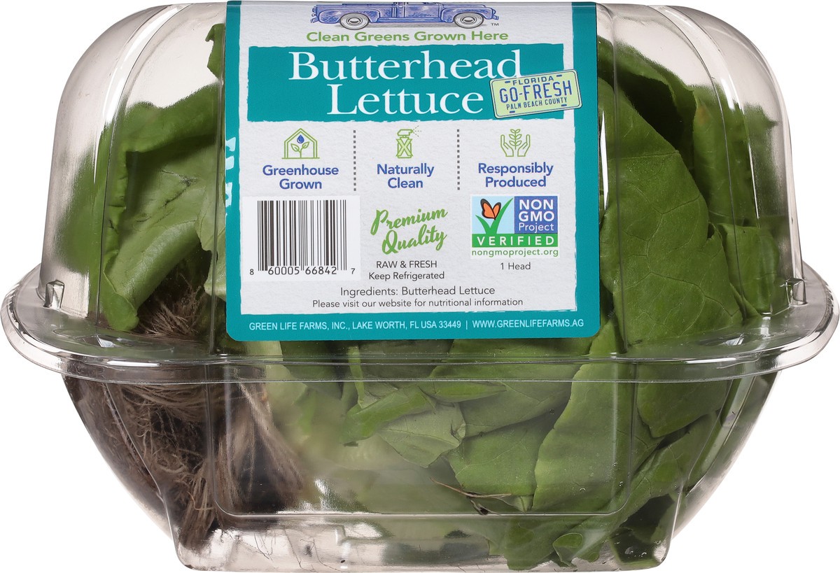 slide 13 of 13, Green Life Butter Head Lettuce, 1 ct