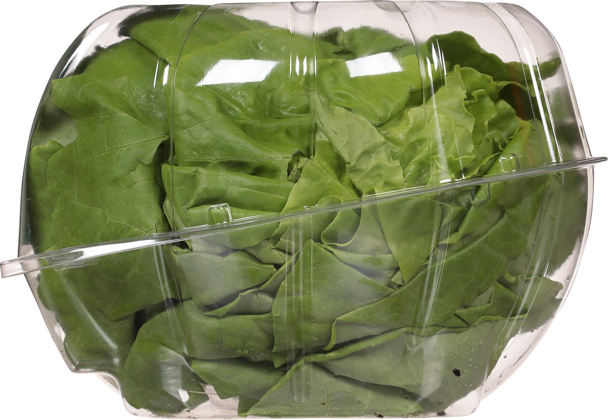 slide 10 of 13, Green Life Butter Head Lettuce, 1 ct