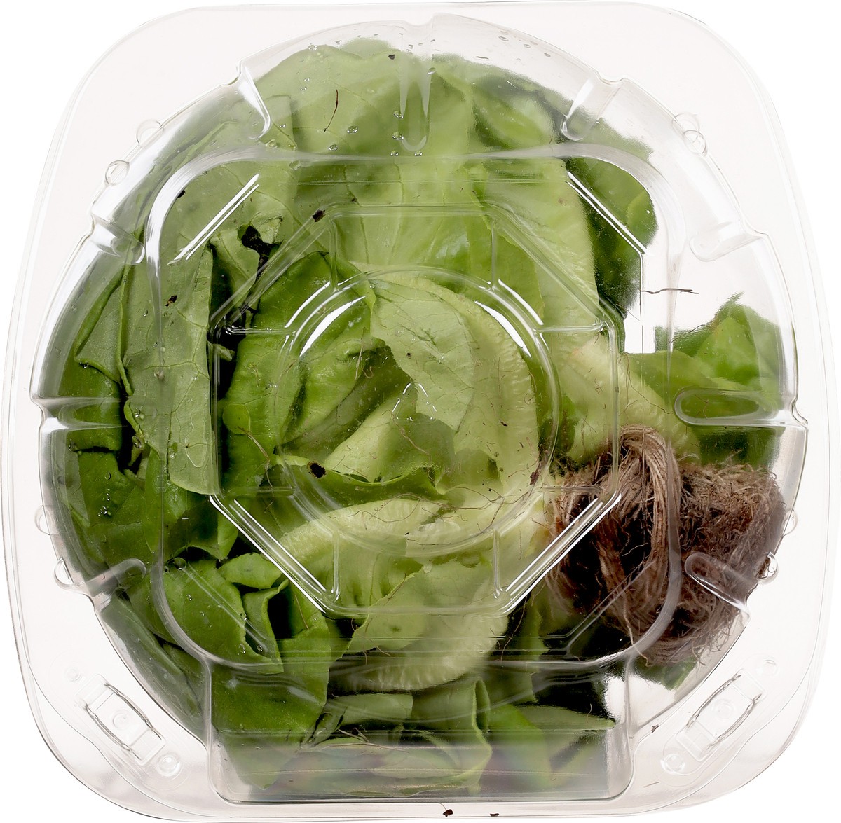 slide 2 of 13, Green Life Butter Head Lettuce, 1 ct