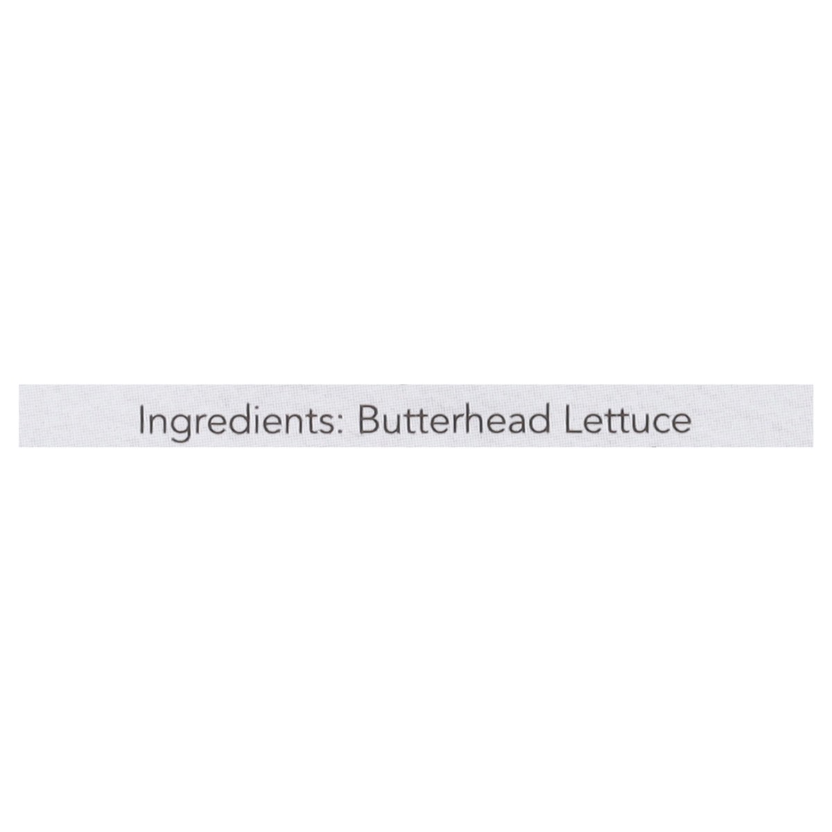 slide 9 of 13, Green Life Butter Head Lettuce, 1 ct