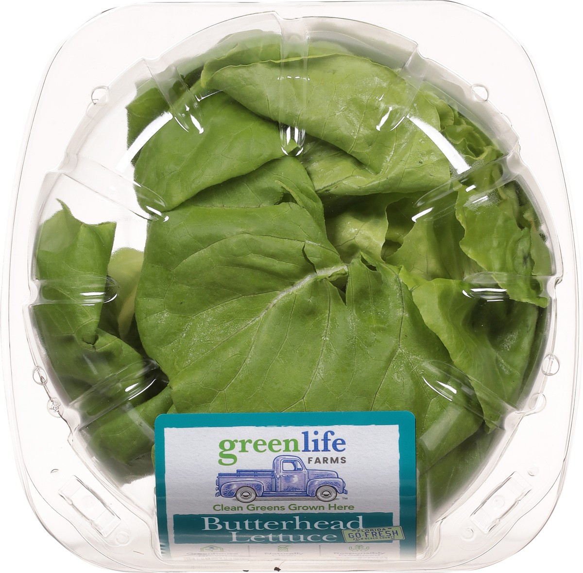 slide 11 of 13, Green Life Butter Head Lettuce, 1 ct