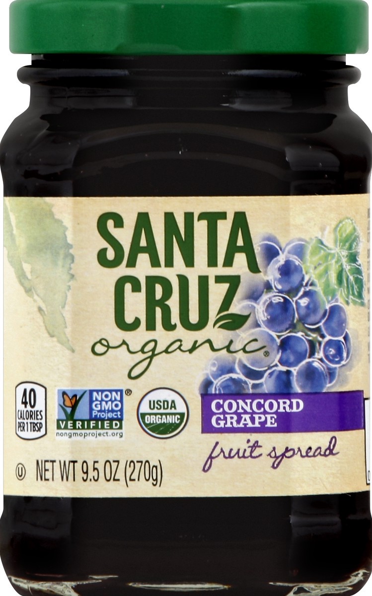 slide 1 of 6, Santa Cruz Organic Fruit Spread 9.5 oz, 9.5 oz