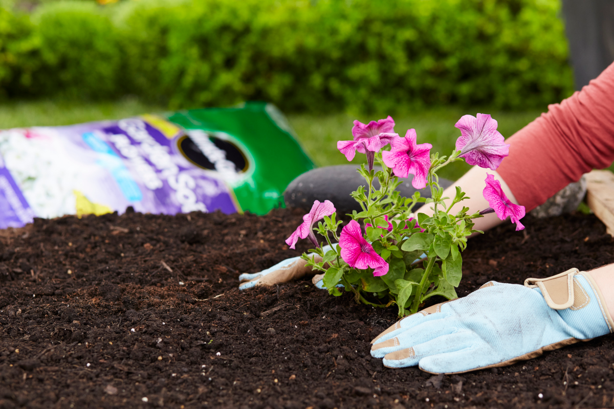 slide 3 of 9, Miracle-Gro Garden Soil Flowers, 1.5 cu ft