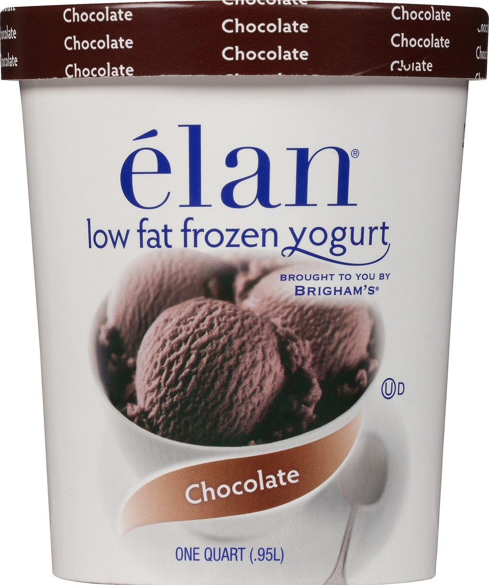 slide 7 of 8, Elan élan Chocolate Frozen Yogurt, 1 Quart, 1 qt