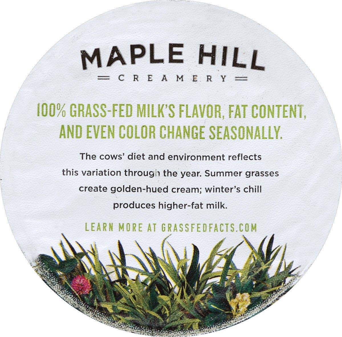 slide 3 of 3, Maple Hill Creamery 100% Grassfed Wild Blueberry Yogurt, 6 oz