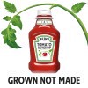 slide 8 of 12, Heinz Tomato Ketchup Bottles, 