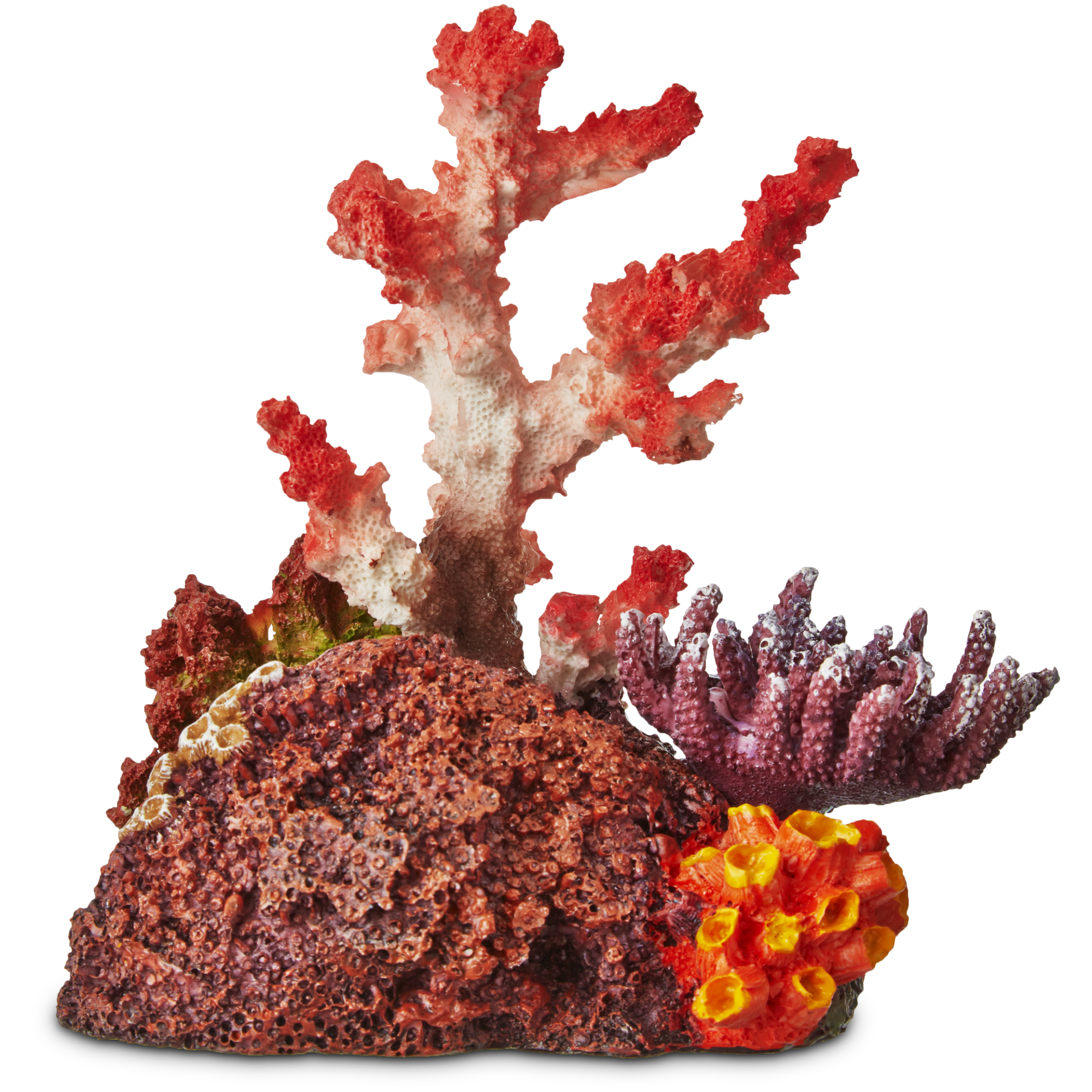 slide 1 of 1, Imagitarium Coral Garden Ornament Standard, 1 ct
