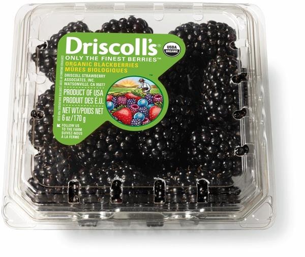 Driscoll's Organic Blackberries 6 oz Shipt