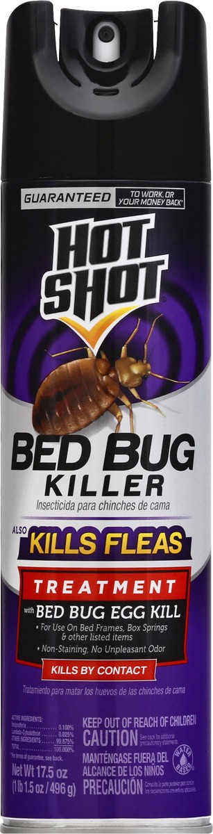 slide 1 of 11, Hot Shot Aerosol Bed Bug Killer, 17.5 oz