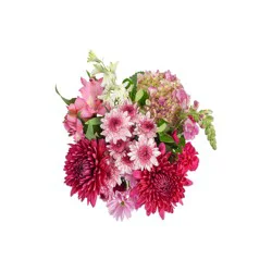 Bloom Haus Darling Delight Fresh Flower Bouquet, 1 ct