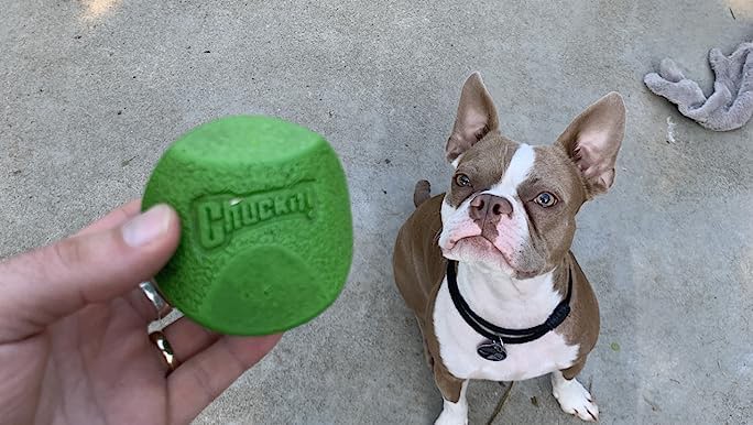 slide 3 of 10, Chuckit!! Fetch Medley 2, 1 ct