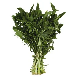 Freida Dandelion Green
