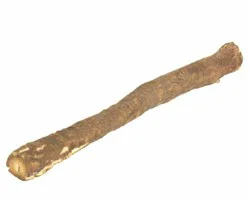 Fresh Gobo Root (Burdock)