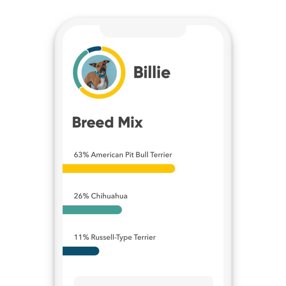 slide 7 of 8, Embark Vet Breed Identification Dog DNA Kit, 1 ct
