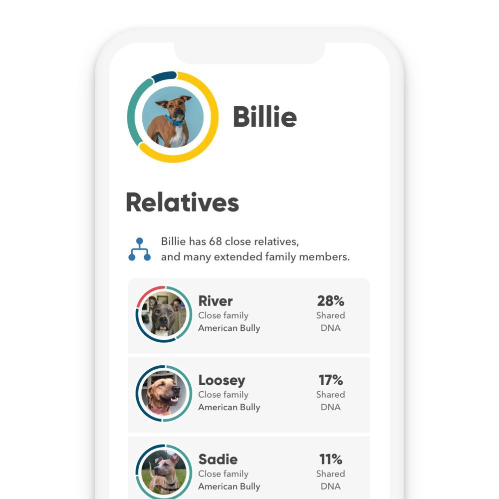 slide 6 of 8, Embark Vet Breed Identification Dog DNA Kit, 1 ct