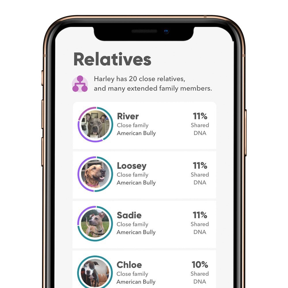 slide 3 of 8, Embark Vet Breed Identification Dog DNA Kit, 1 ct