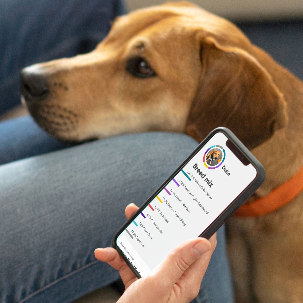 slide 5 of 8, Embark Vet Breed Identification Dog DNA Kit, 1 ct