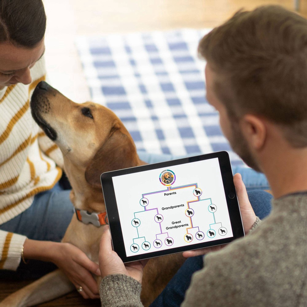 slide 8 of 8, Embark Vet Breed Identification Dog DNA Kit, 1 ct