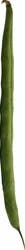 Green Beans 1 ea