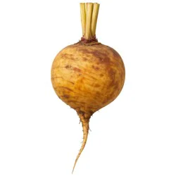 Fresh Organic Gold Beets