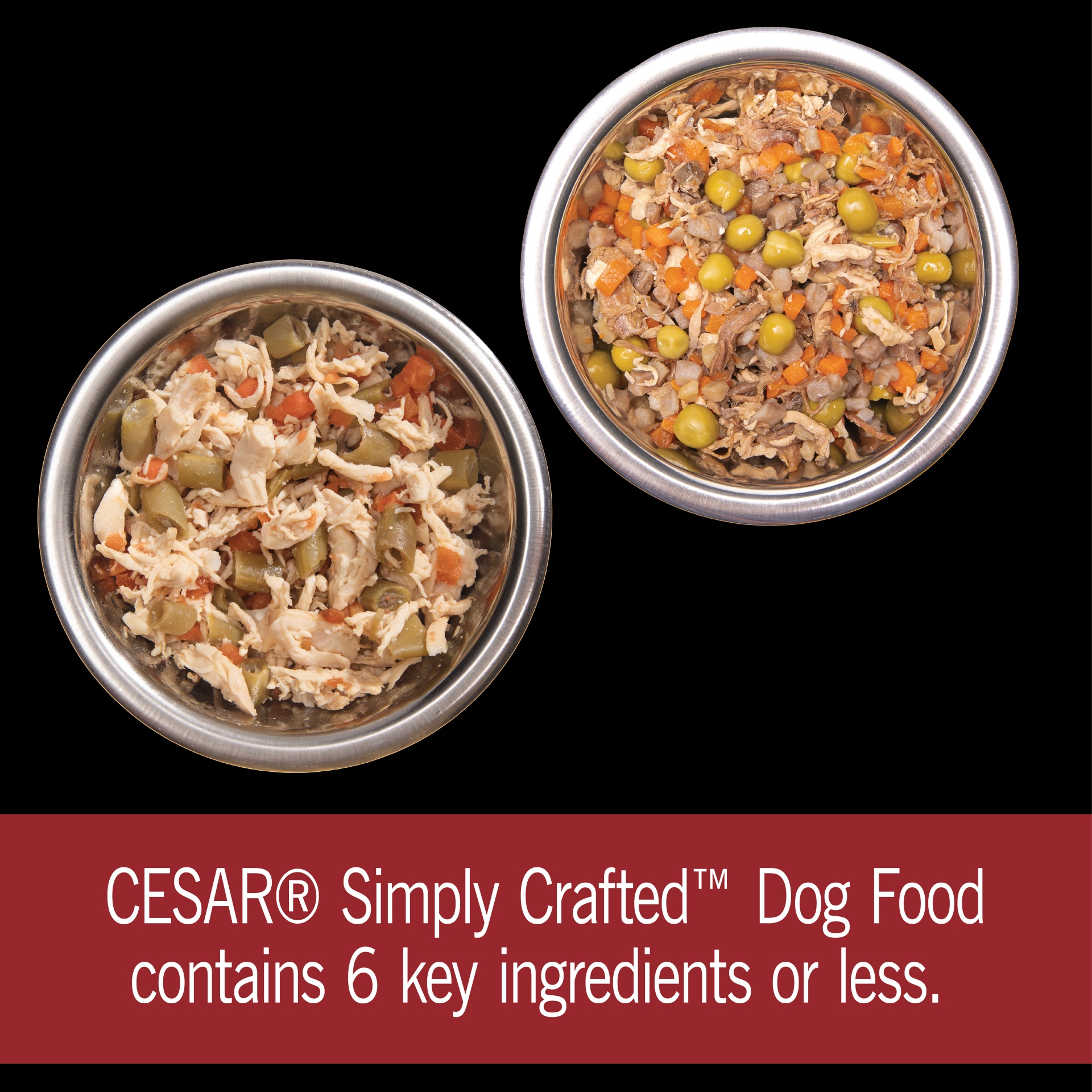 CESAR Simply Crafted Adult Wet Dog Food Meal Topper Variety Pack