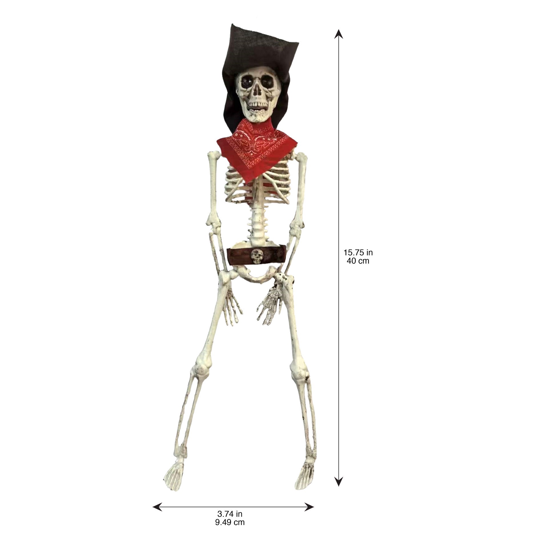 slide 3 of 3, 16" Pirate Skeleton By Ashland, 16 in